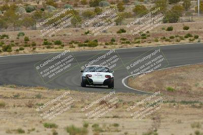 media/May-03-2025-Lucky Dog Racing (Sat) [[206de64b9d]]/Turn 2 (1020am-1120am)/